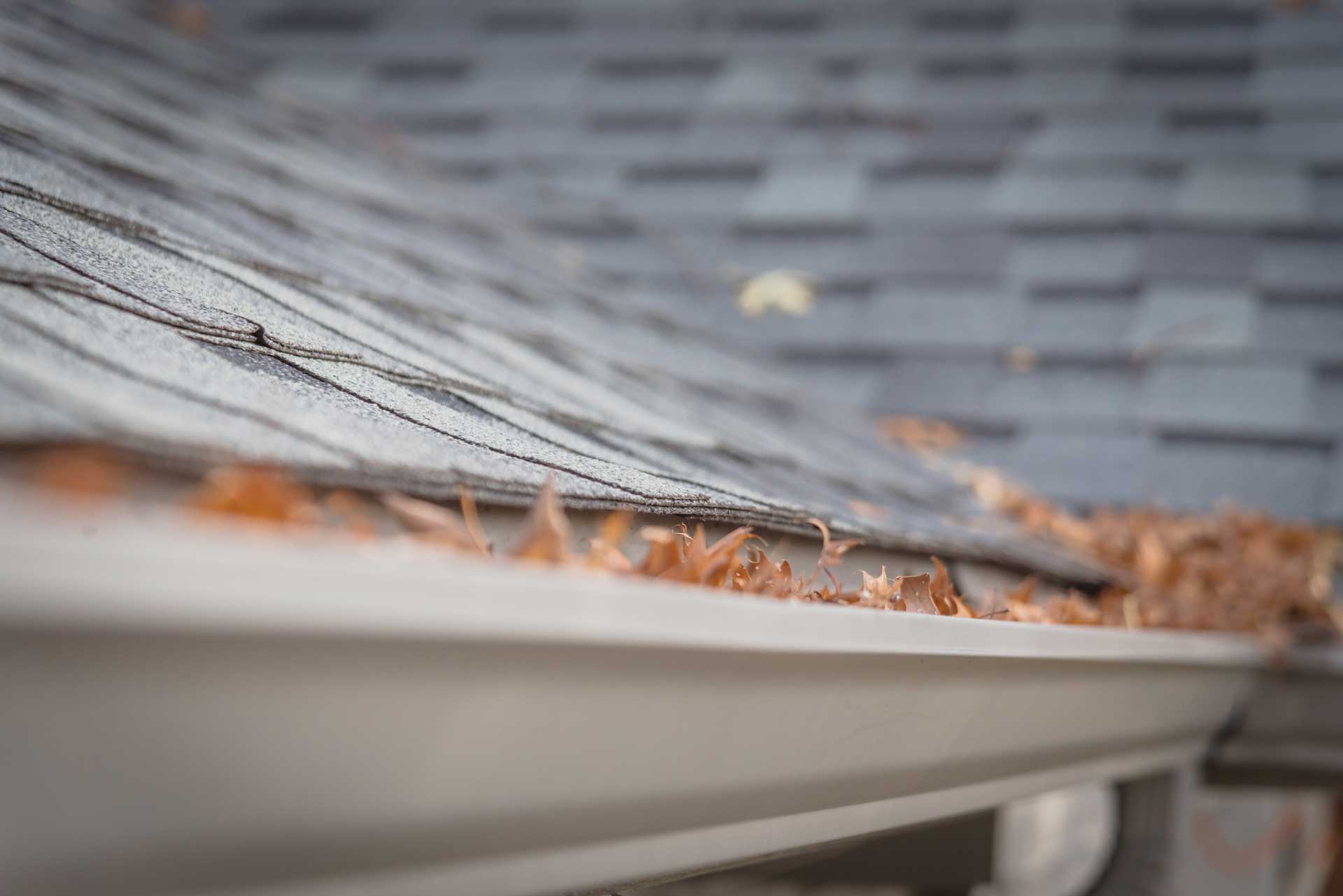 Clean Leaves from Gutters