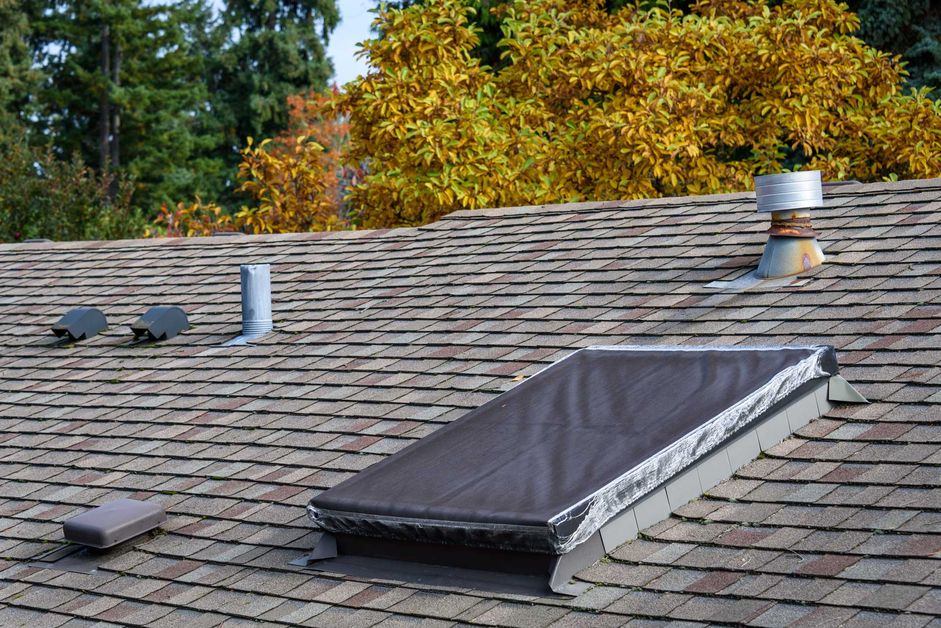 Shingle Roof in WV
